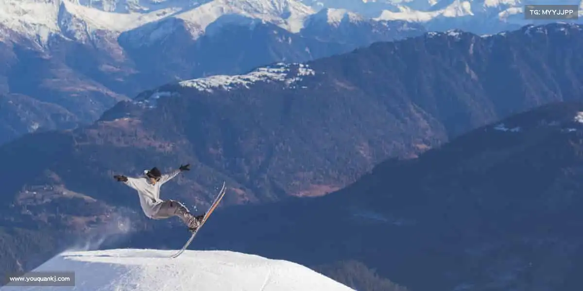 行业领先的理由